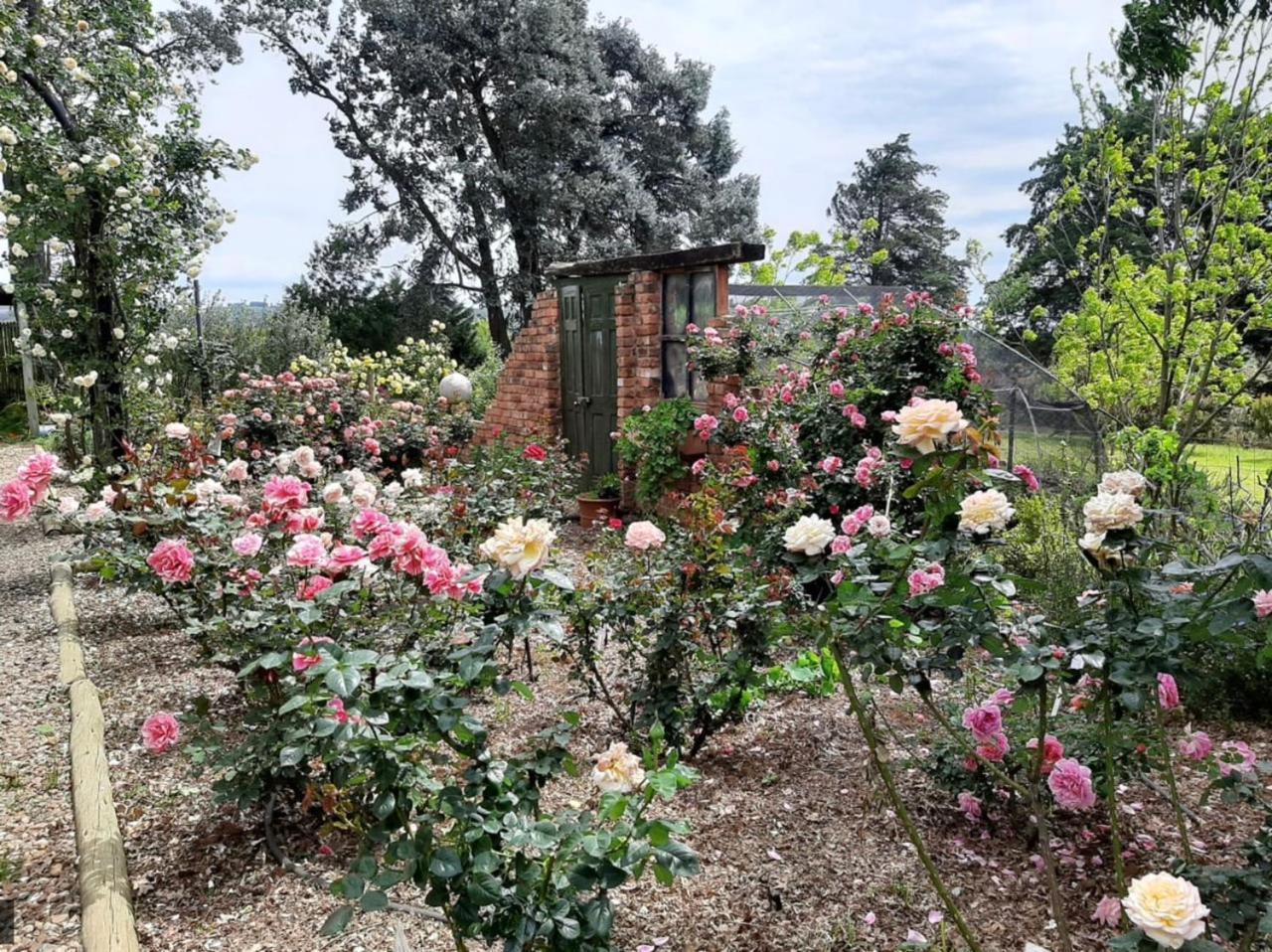 Ama Casa Cottages Champagne Valley Exterior photo